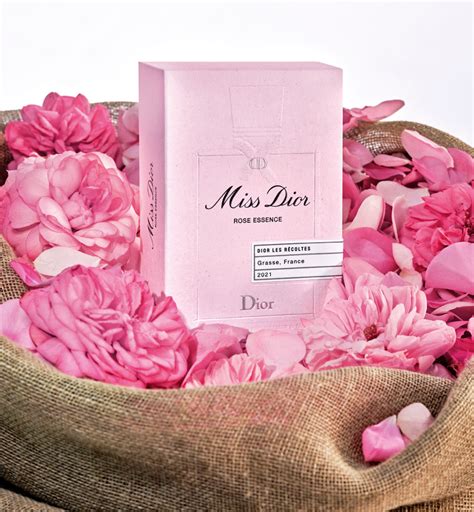 dior rose essence perfume|christian Dior miss vintage.